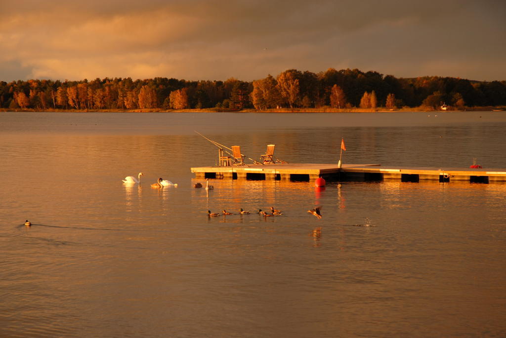 Vila Baldininkas Neringa Exteriör bild